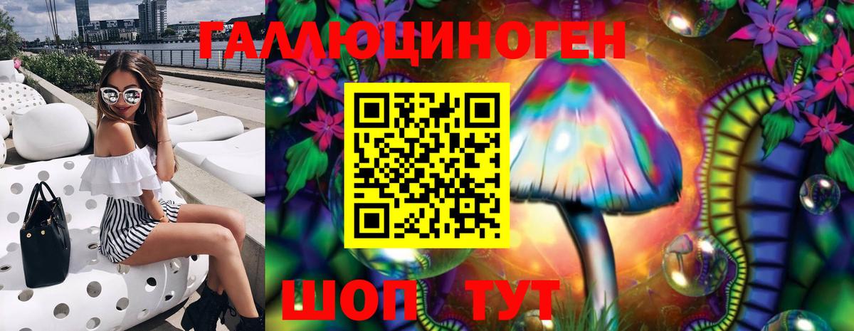 Камышин  Галлюциногенные грибы мицелий  Вход с VPN 