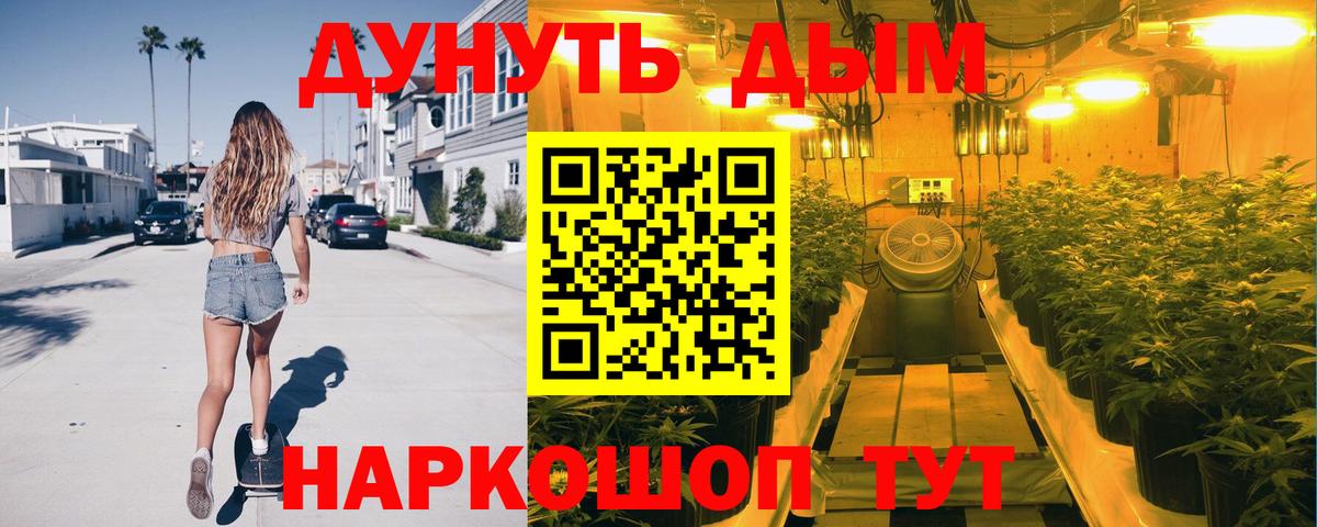 Марихуана семена  Канабис сатива  Вход с VPN  Камышин 